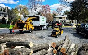 Best Seasonal Cleanup (Spring/Fall)  in Tazewell, VA