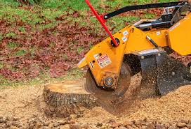 Best Fruit Tree Pruning  in Tazewell, VA