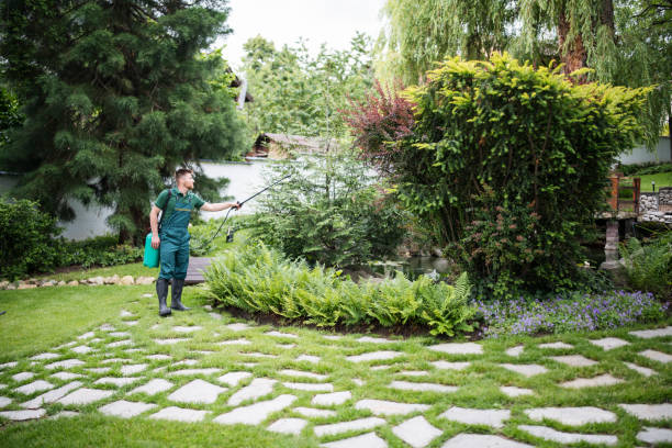 Best Tree Mulching  in Tazewell, VA